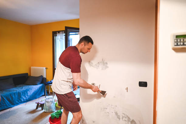 Best Commercial Mold Removal  in West Columbia, SC